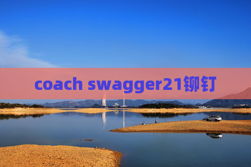 coach swagger21铆钉