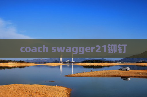 coach swagger21铆钉